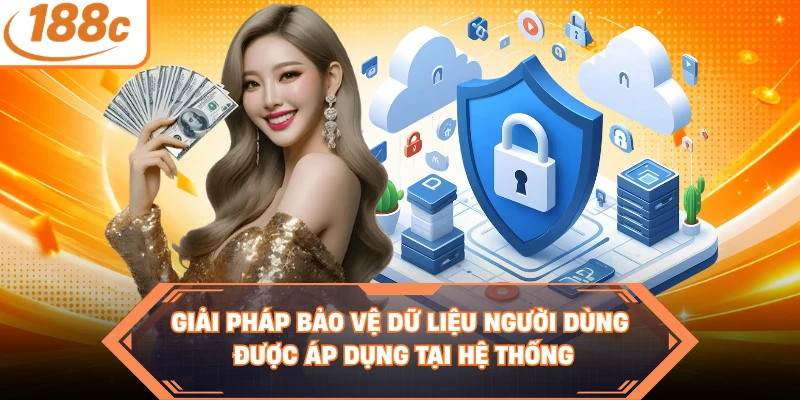 Giải pháp bảo vệ dữ liệu người dùng được áp dụng tại hệ thống 